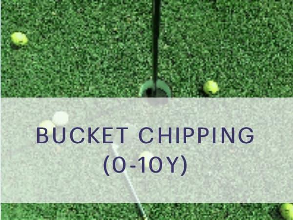 Task Bucket chipping (0-10y)