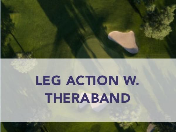 Task Leg action w. theraband
